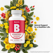 Berberine 500 mg