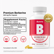 Berberine 500 mg